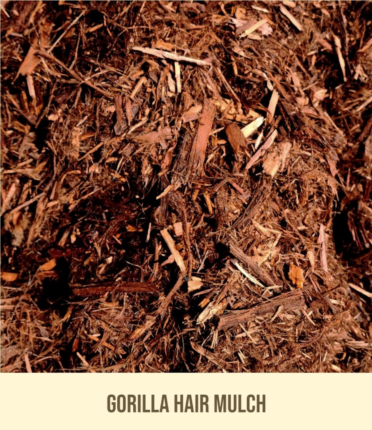 Gorilla Hair Mulch landscape material