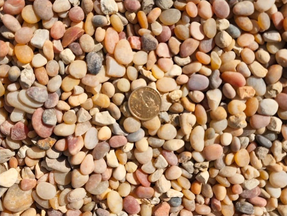Jellybean Mexican Beach Pebbles 1/2" landscape material